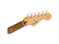 Fender Anniv. Player Strat PF 2TS Fender Anniv. Player Strat PF 2TS
